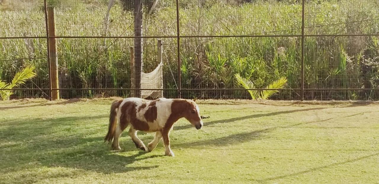Hotel Fazenda Tucano Capim Branco Eksteriør bilde