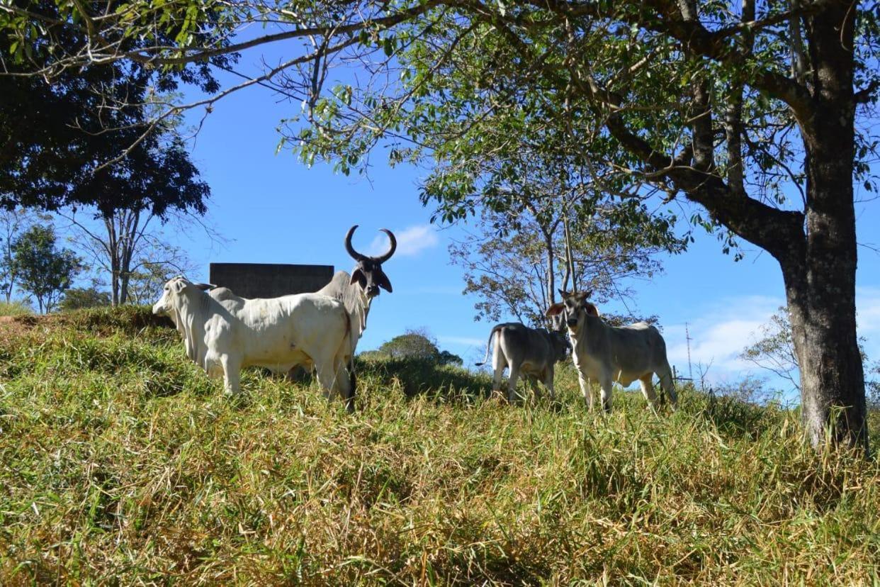 Hotel Fazenda Tucano Capim Branco Eksteriør bilde